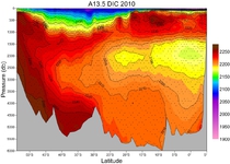 A13.5 DIC Section