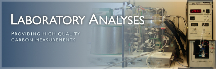 Laboratory Analyses Image