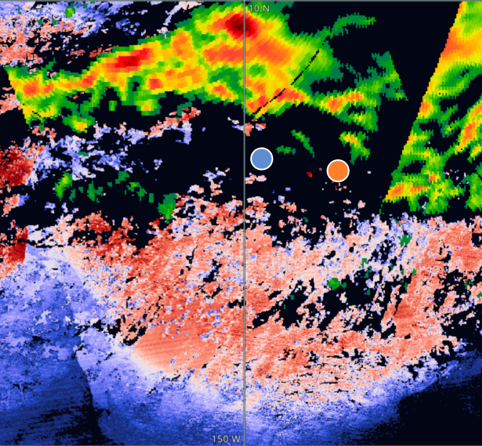 Satellite SST and Precipitation